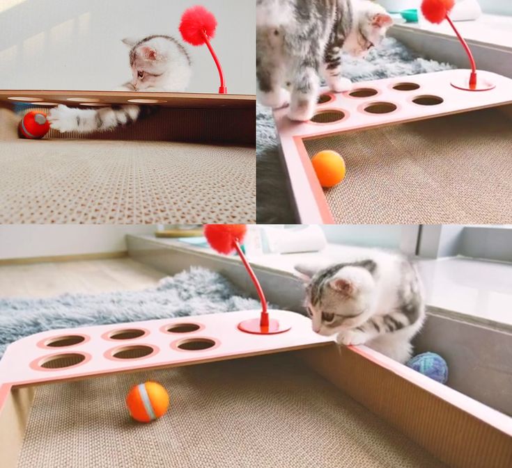 two pictures of a cat playing with balls on the floor