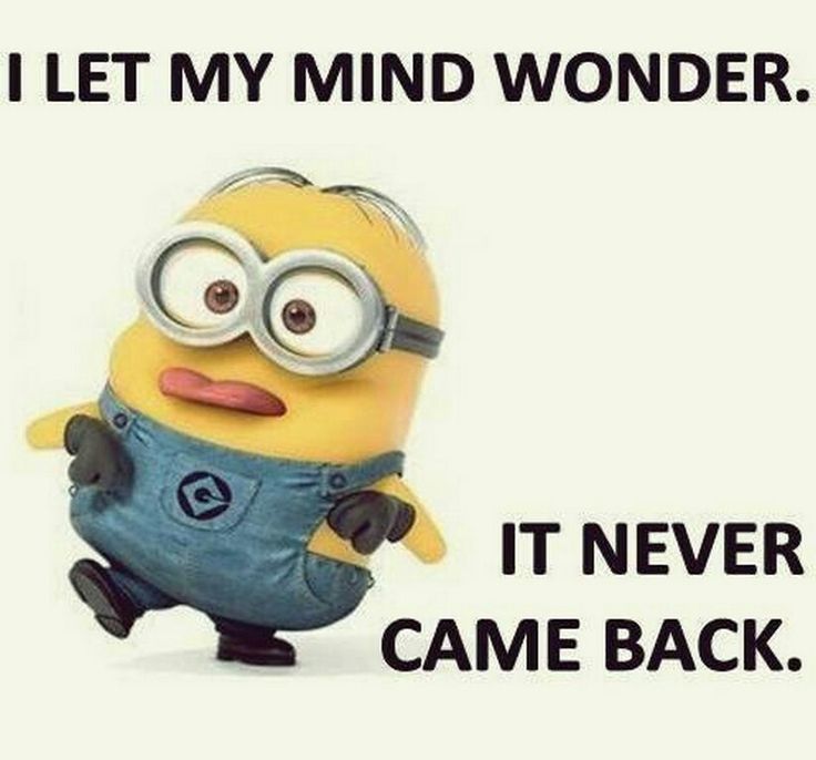 a minion with the caption i let my mind wonder it never came back