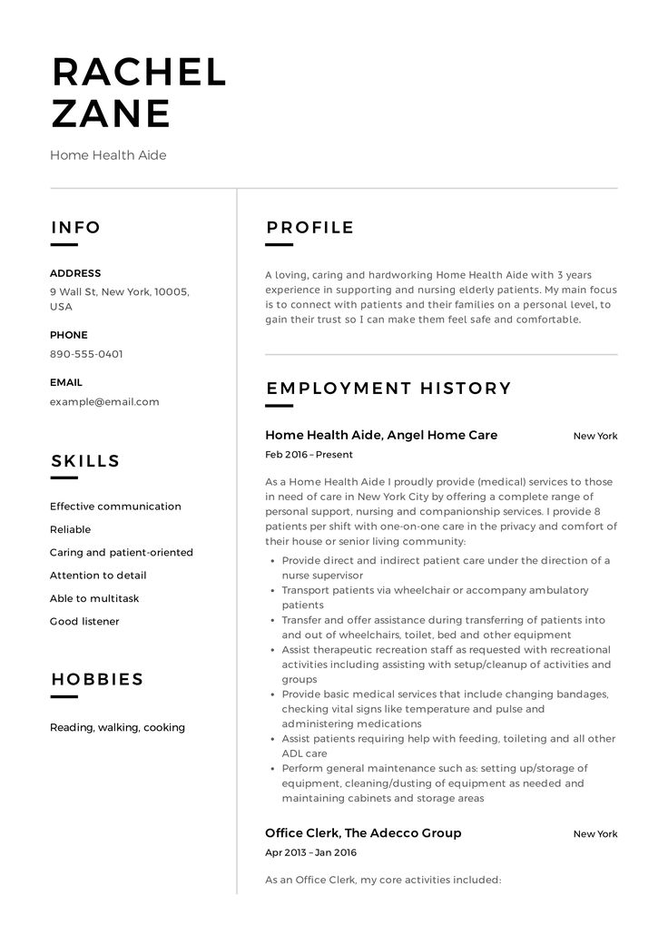 a professional resume for an it project manager, with no experience in the job description