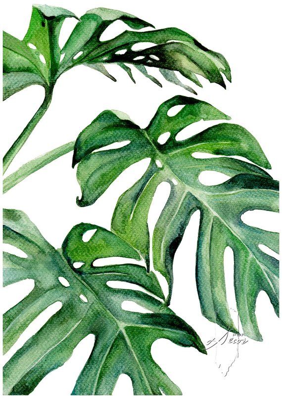 Tropical Leaf Print