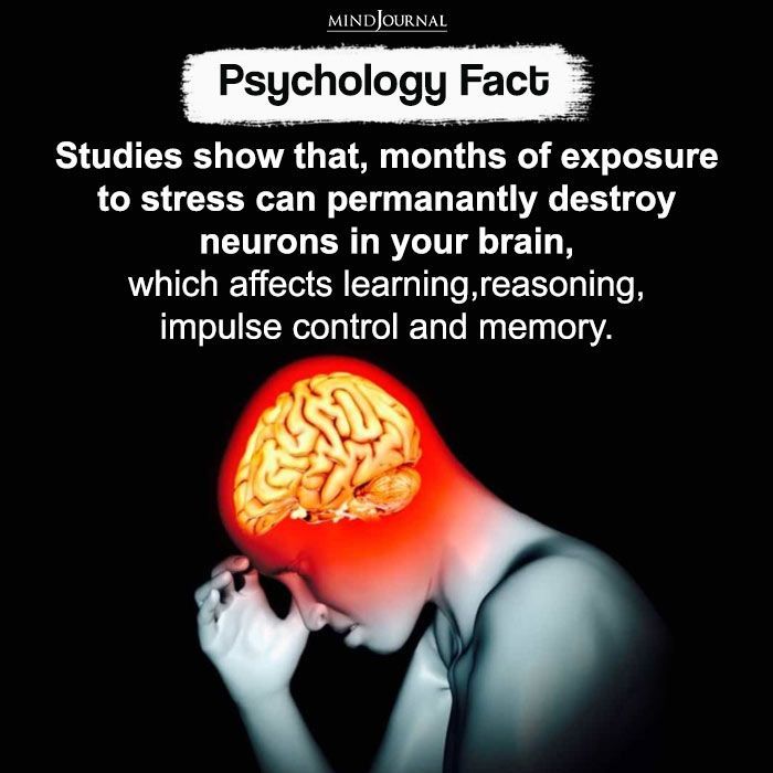 Physiological Facts, Psychology Notes, Psychological Facts Interesting, Understanding Emotions, Impulse Control, Brain Facts, Psychology Says, Mental Health Facts, Psychology Fun Facts