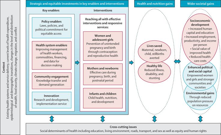 a diagram showing the different stages of an individual's life cycle