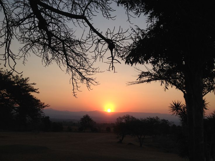 the sun is setting behind some trees