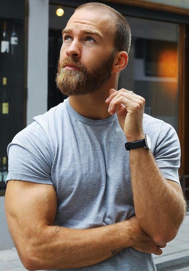 Barba Hipster, Bart Styles, Balding Men, Haircuts For Balding Men, Balding Mens Hairstyles, Bald Men With Beards, Dunner Wordend Haar, Bald With Beard, Ginger Beard