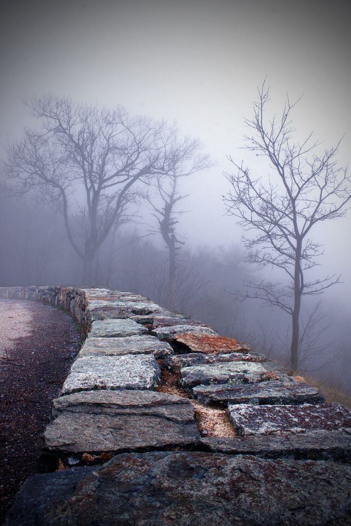 a stone wall with trees in the background on a foggy, autumn day photo