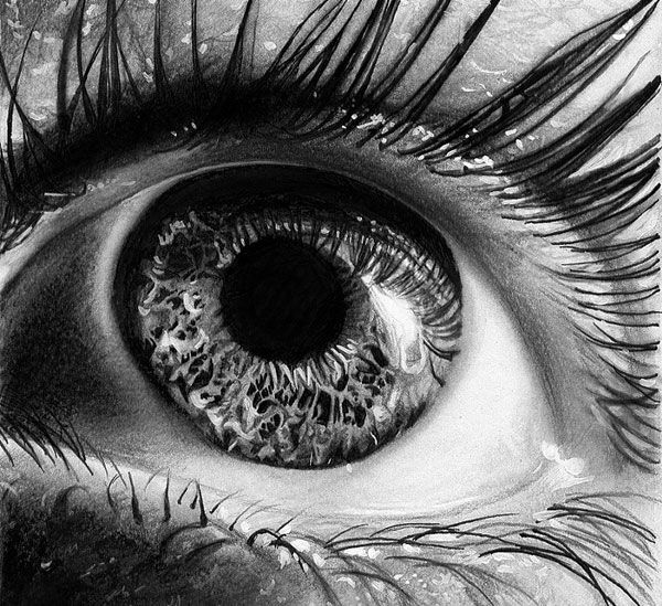 an eye is shown with long eyelashes