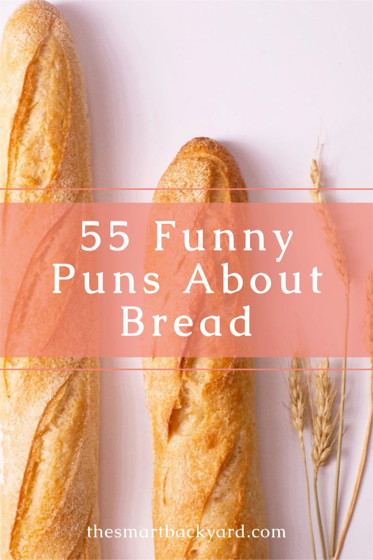 bread with the words 55 funny puns about bread