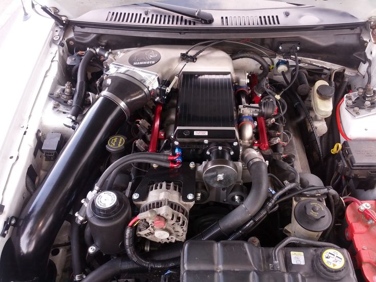 the engine compartment of a car with its hood up and it's hoses running