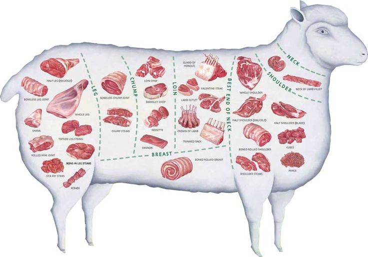 a diagram of meats and their names on the side of a sheep's body