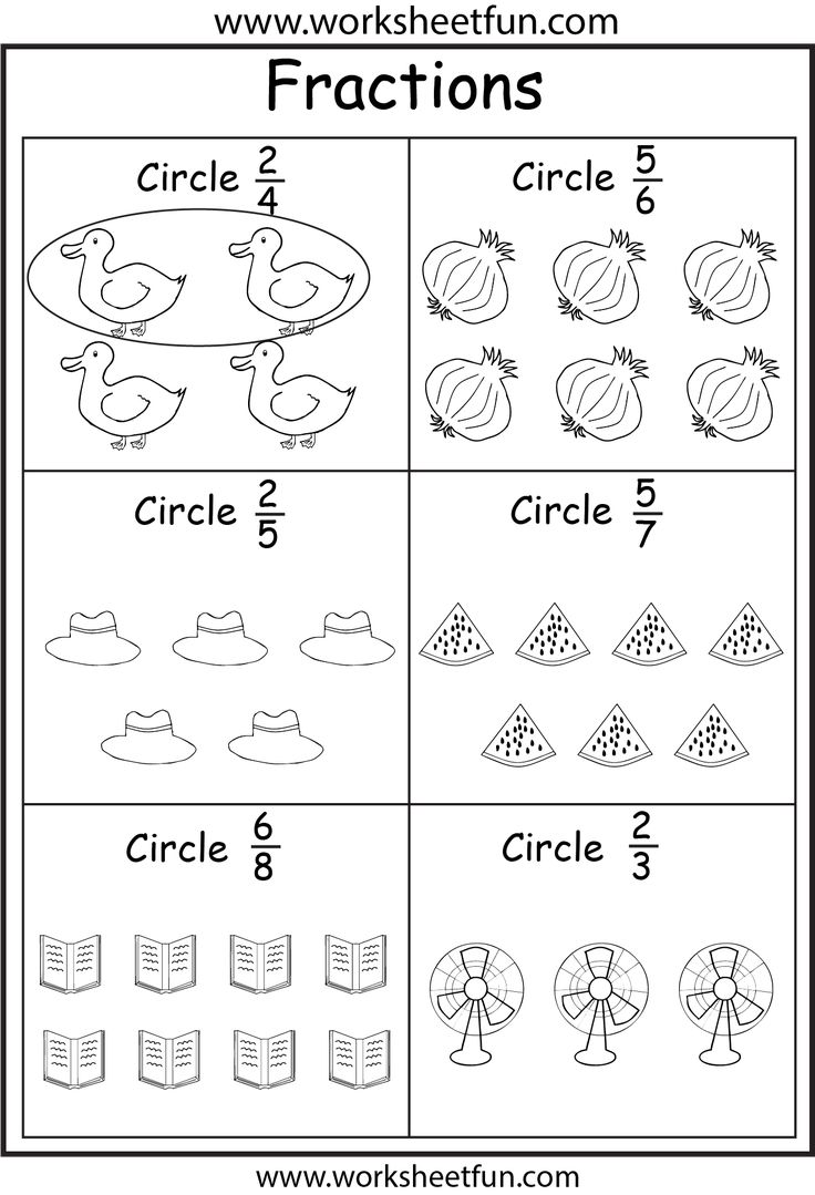 the worksheet for fraction numbers and fractions