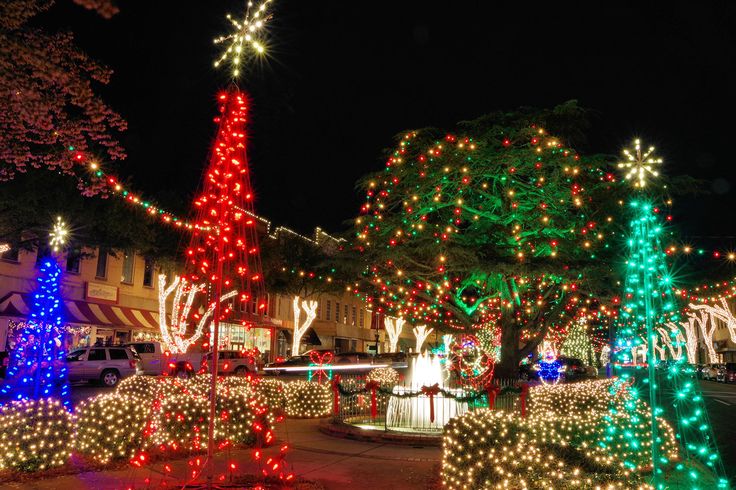 christmas lights decorate trees and bushes in a neighborhood