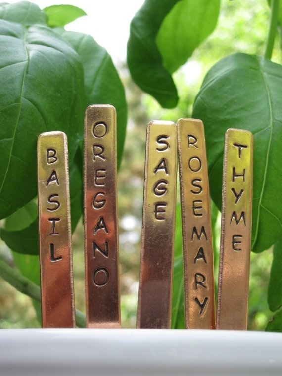 four different types of brass nameplates sitting on top of each other in front of green leaves