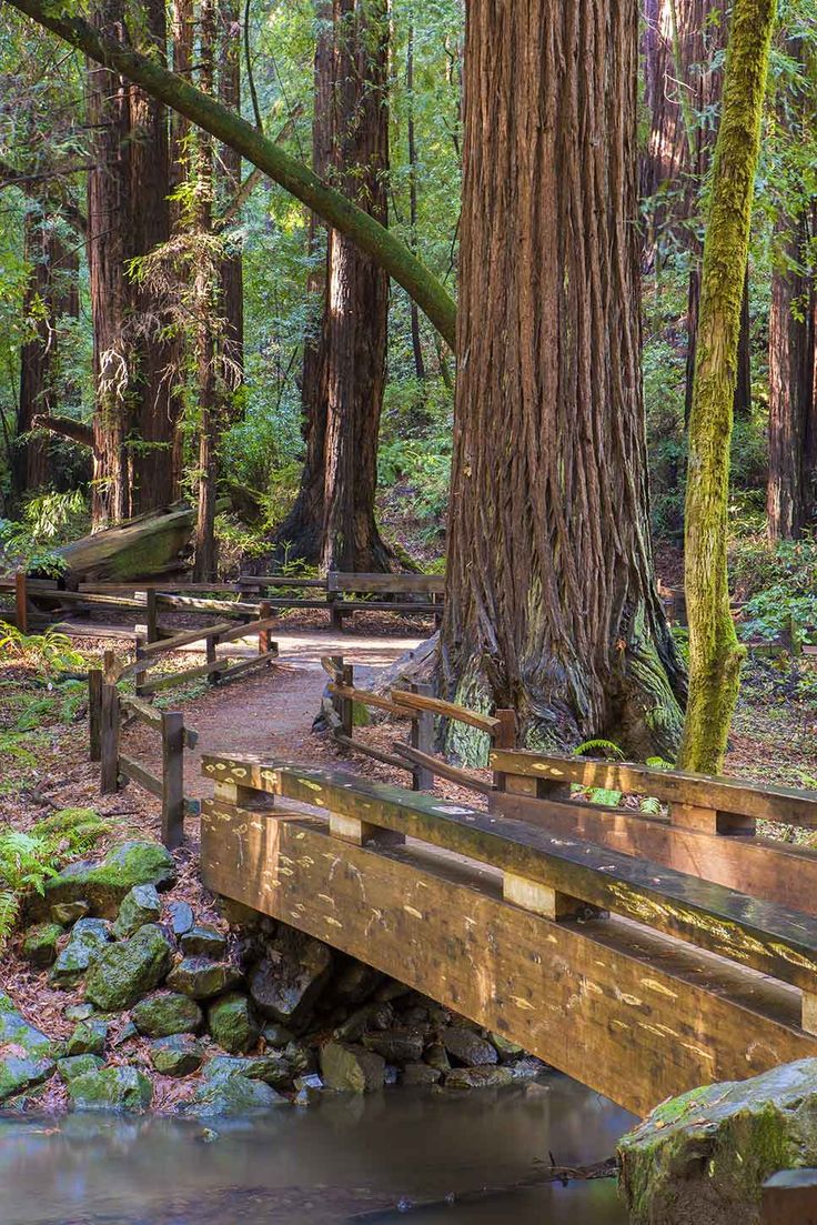 a wooden bridge over a small stream in the woods with trees and rocks around it