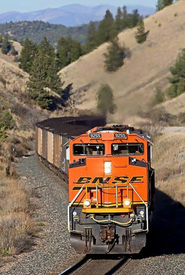 an orange train traveling down the tracks through a rural area with mountains in the background