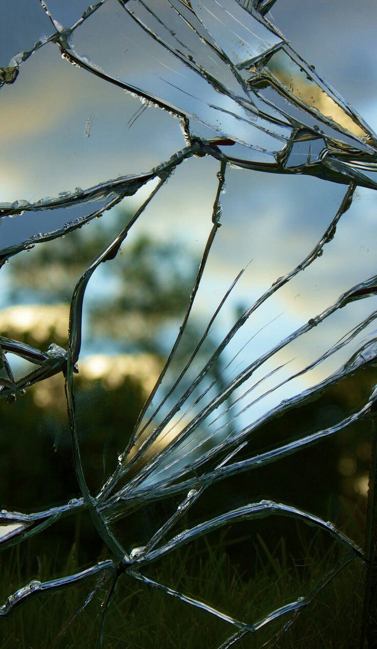 a broken glass window sitting on top of a lush green field