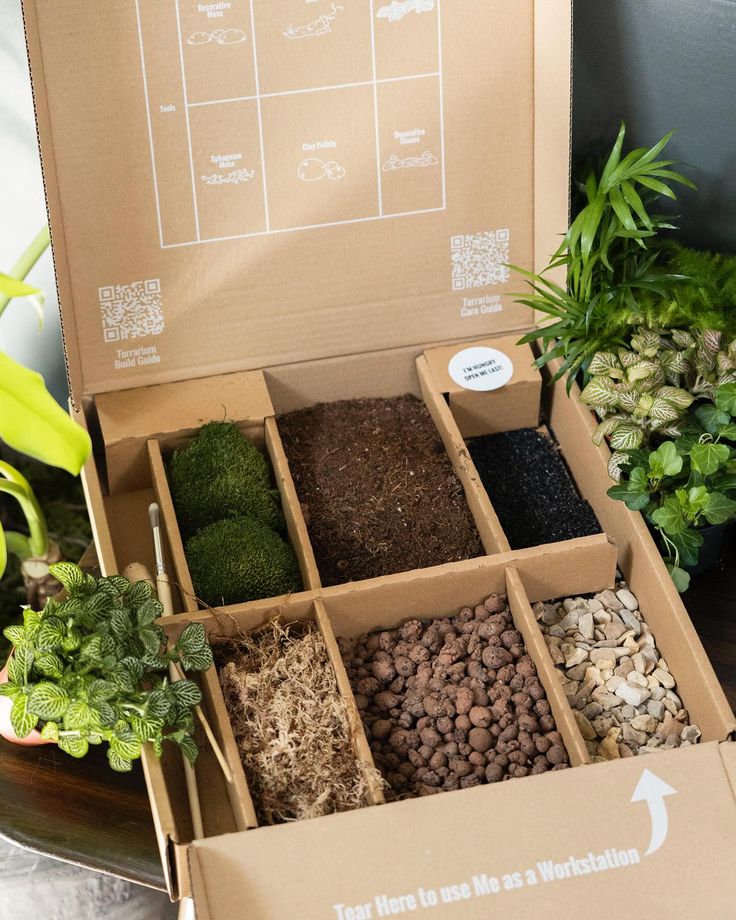 a box filled with lots of different types of plants next to a potted plant