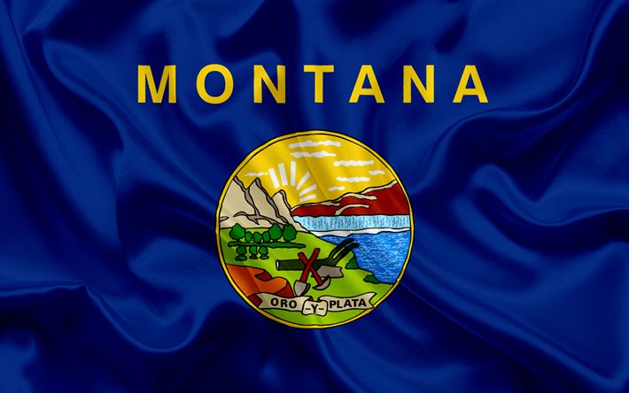 the state flag of montana is shown in this close up photo with silky folds and waves