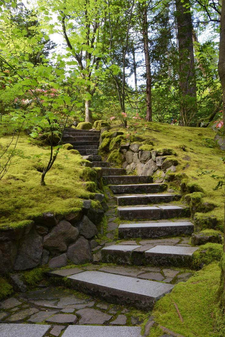 stone steps lead up to the moss covered hillside