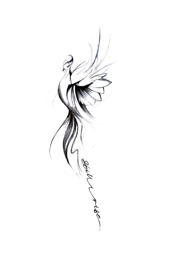 a black and white drawing of a bird with its wings spread out in the air