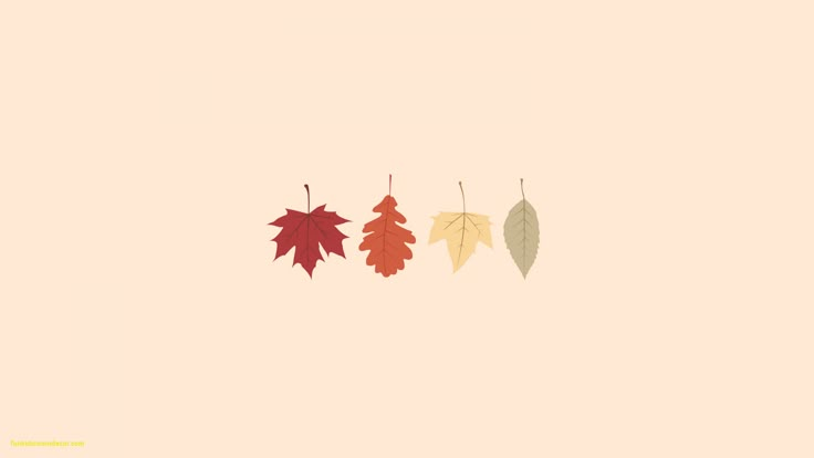 three autumn leaves hanging from a line