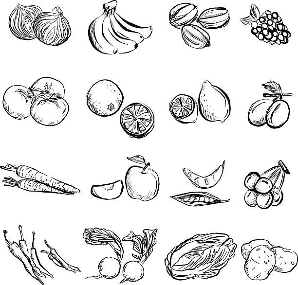 various fruits and vegetables hand drawn