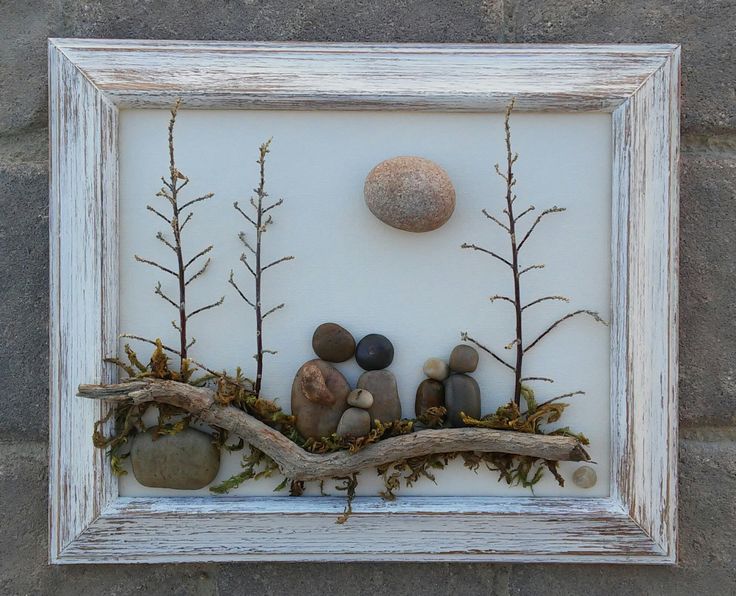 some rocks and plants in a white frame