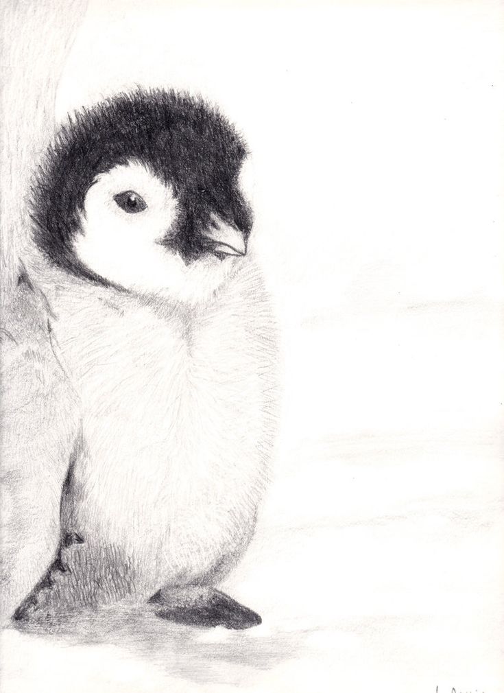 a pencil drawing of a baby penguin sitting next to a tree trunk and looking at the camera