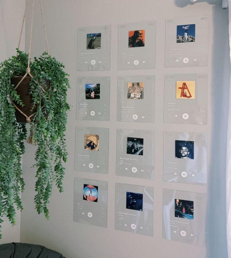 there are many pictures on the wall with plants hanging from it's sides,