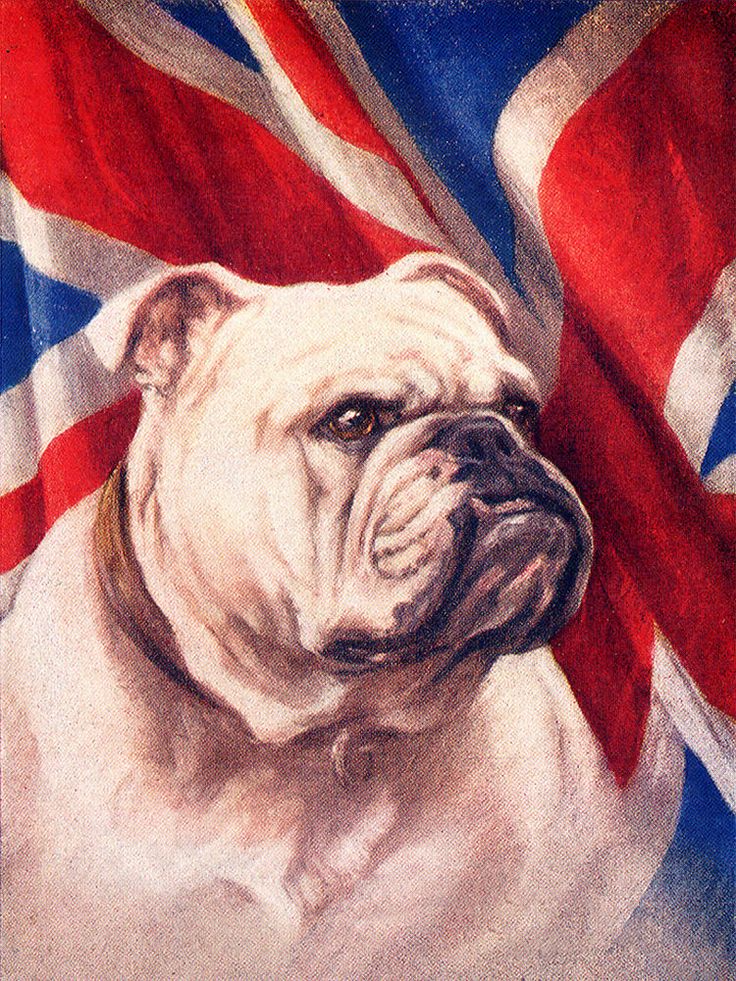 a painting of a dog with a british flag in the background and an image of a bulldog's face