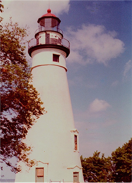 a white and black light house surrounded by trees