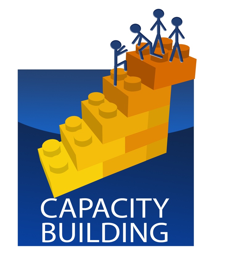 the logo for capacity building with people standing on top of a large yellow brick structure