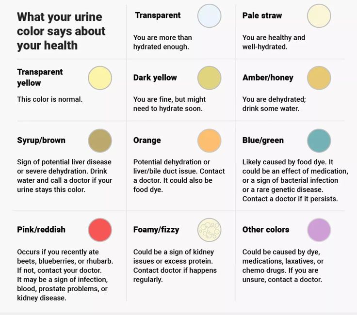 Things to know about | Pee color, Health, Color of urine