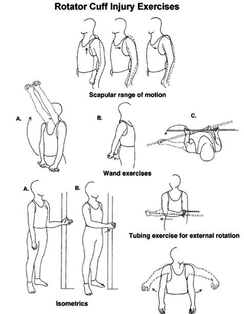 Image result for rotator cuff exercises handouts with pictures Rotator Cuff Injury Exercises, Rotator Cuff Rehab, Shoulder Rehab Exercises, Physiotherapy Exercises, Rotator Cuff Exercises, Exercise Images, Rehab Exercises, Shoulder Rehab, Rotator Cuff Injury