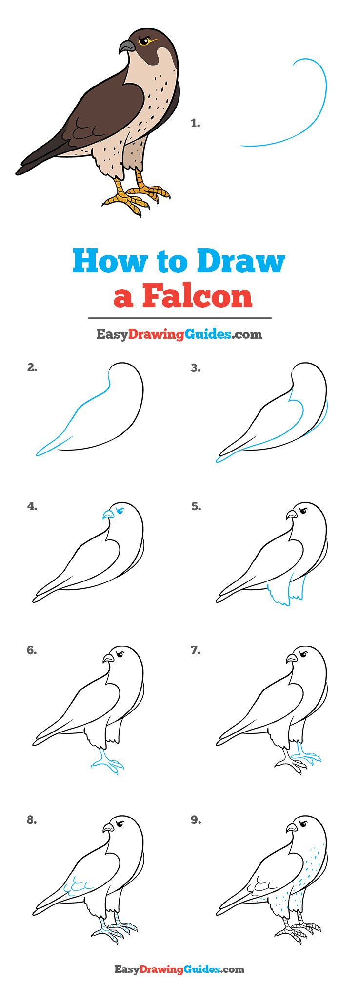 how to draw a falcon step by step instructions for children and beginners in easy steps