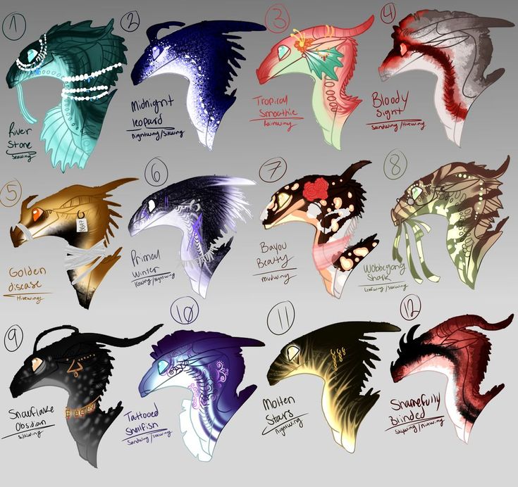 an image of different types of dragon heads