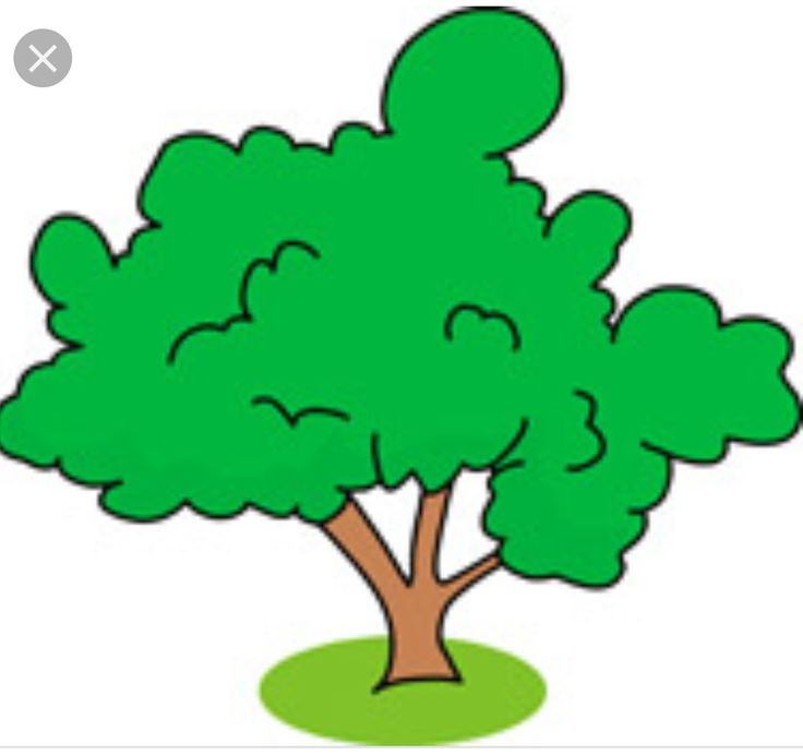 a cartoon tree with green leaves on it