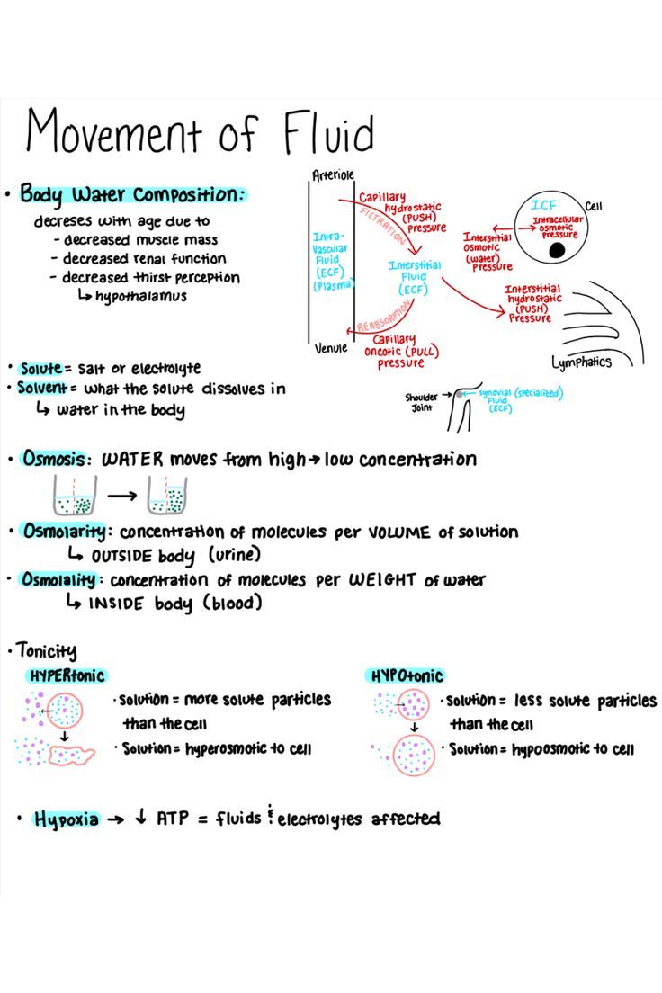 a whiteboard with words and diagrams on it that include the movement of fluides