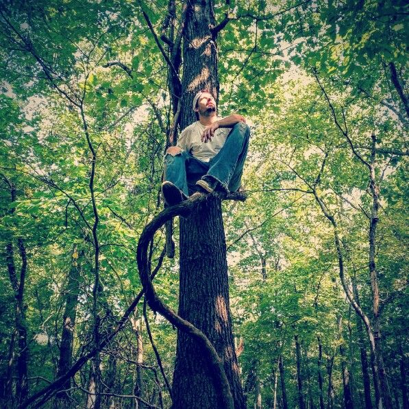 a man sitting on top of a tree in the middle of a forest with lots of trees