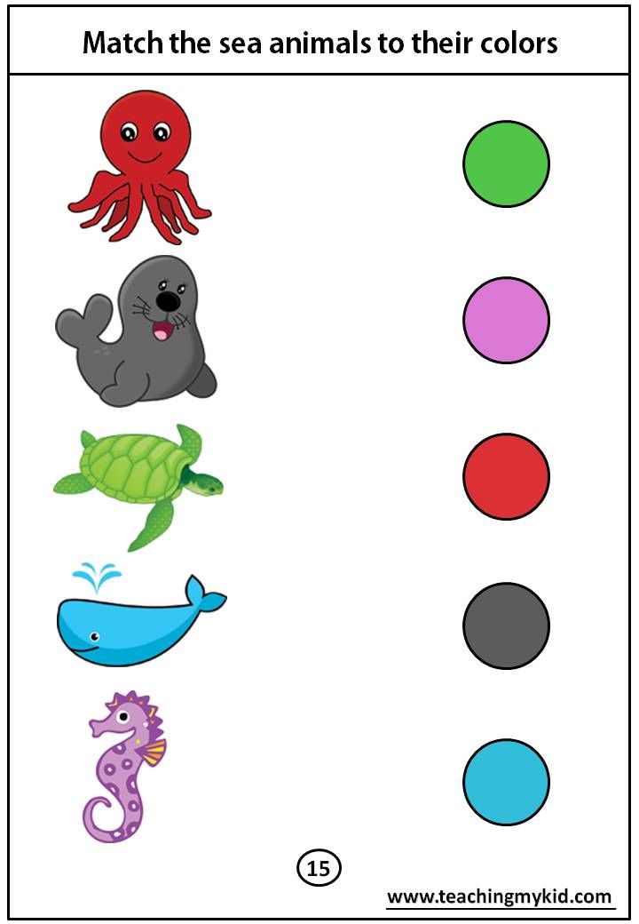 an ocean animal matching game for kids