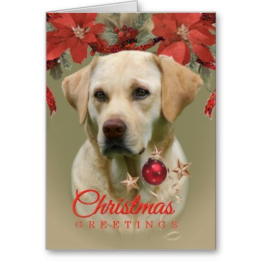 a christmas card with a dog wearing a red ornament