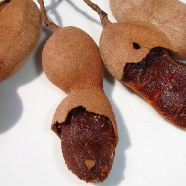 three seed pods are shown on a white surface