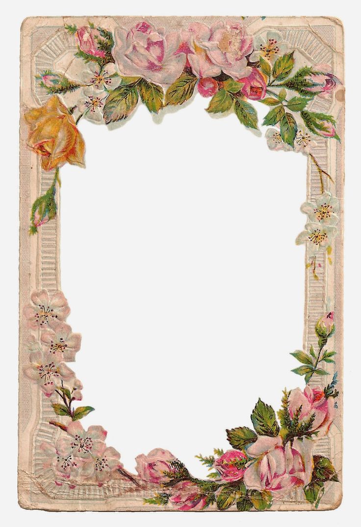 an old fashioned photo frame with roses and leaves on the edges, in pastel colors