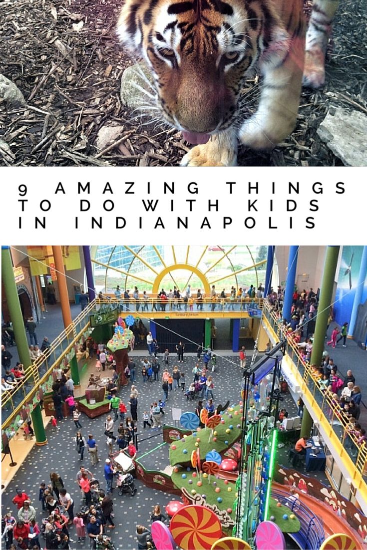 two pictures of people in an amusement park and one with a tiger on it's face