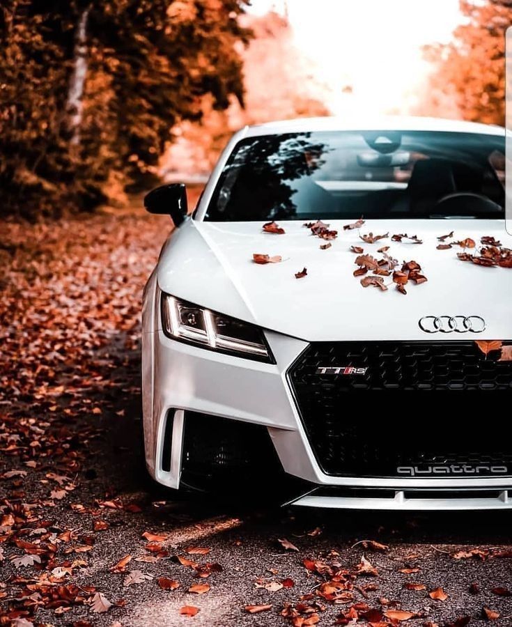 white audi hd pic audi cars 4 door sports cars bmw cars pinterest