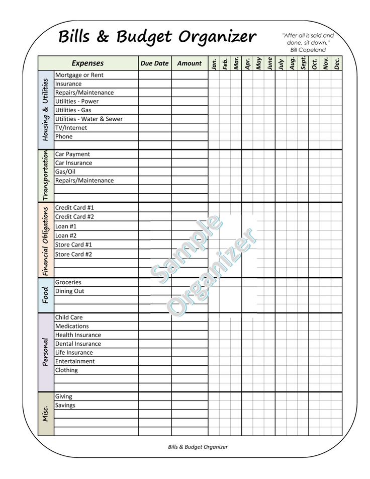 the bill and budget organizer is shown in this printable sheet for students to use