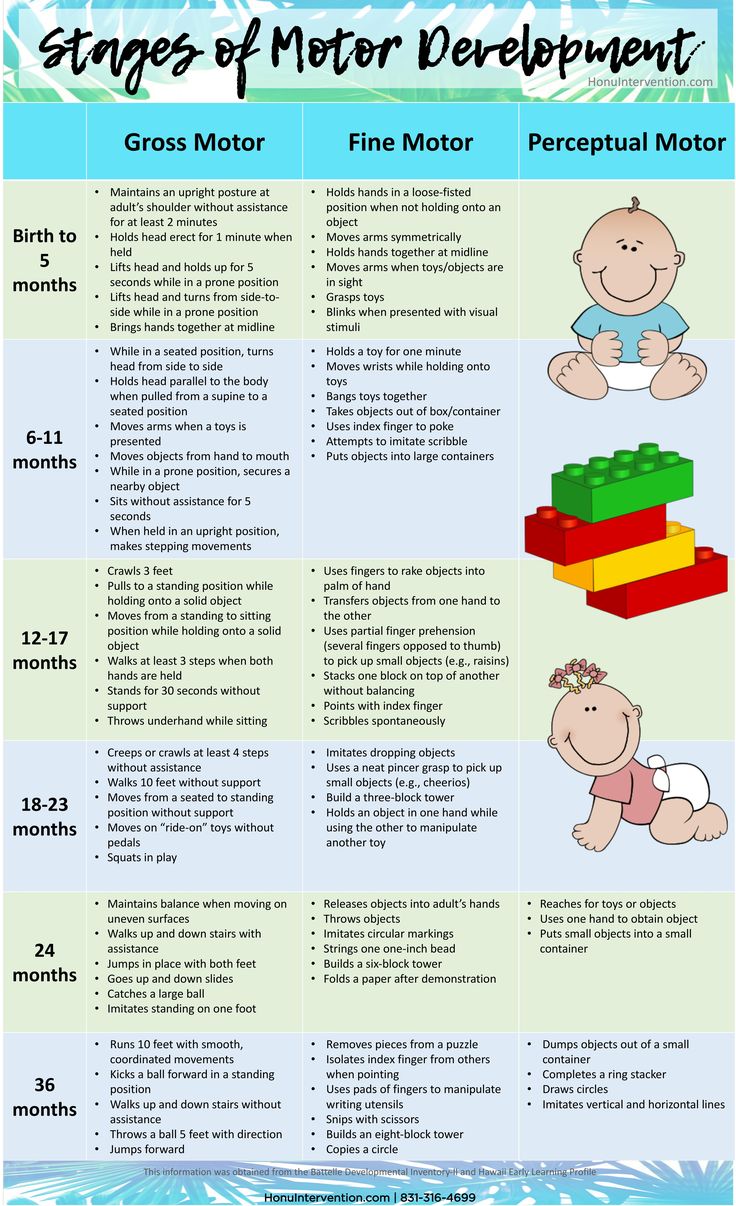 Stages of Motor Development Erickson Stages Of Development, Piaget ...