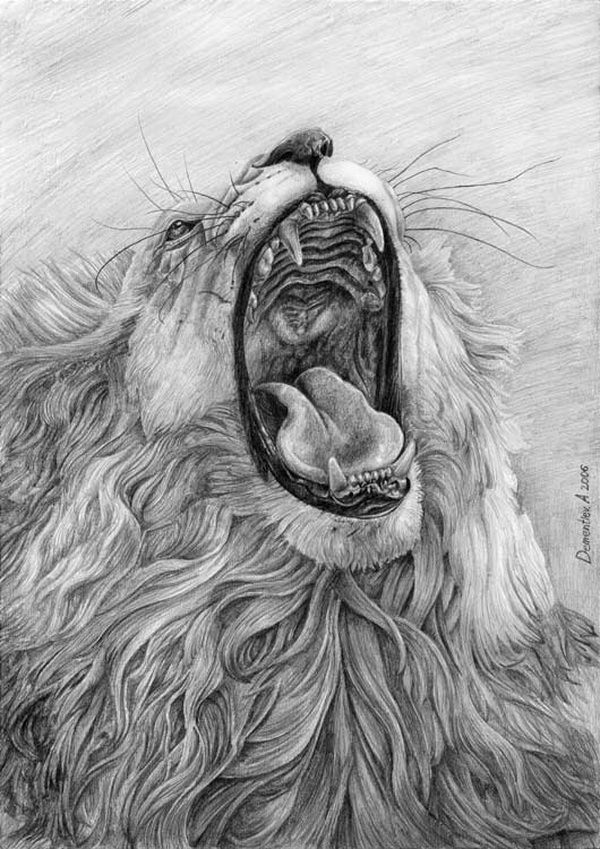 a drawing of a lion with its mouth open and it's teeth wide open