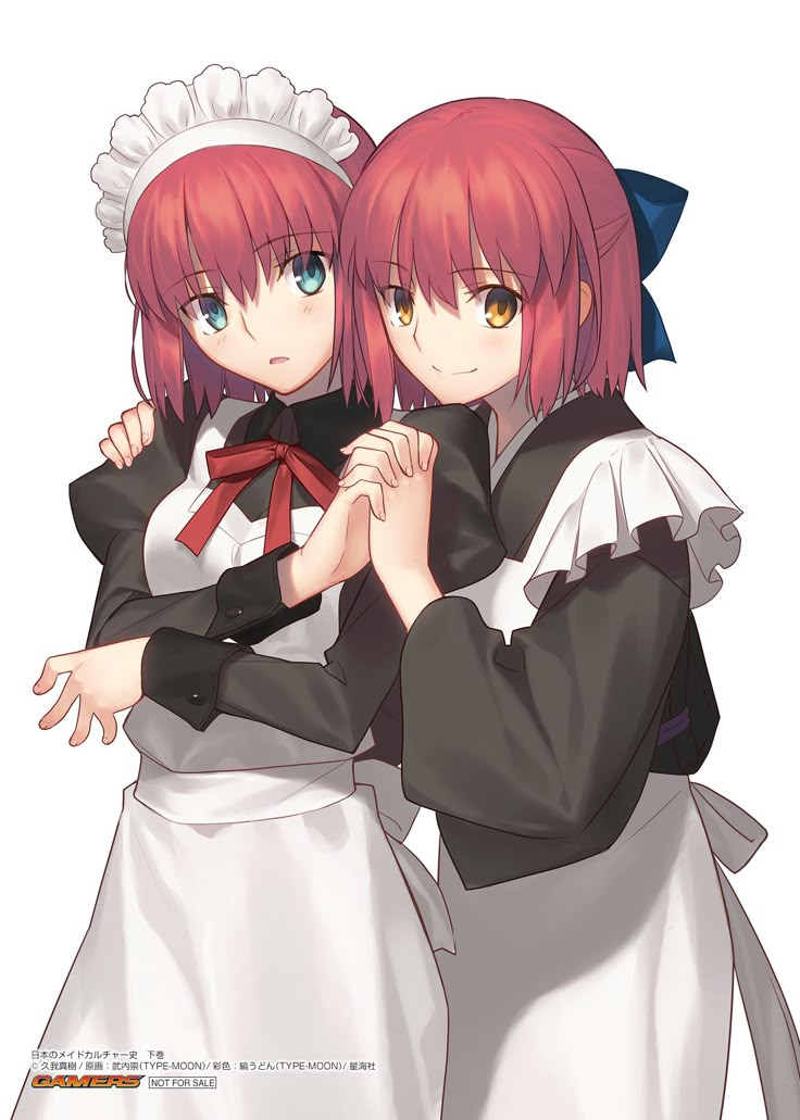 Hisui / Kohaku【Tsukihime】 Kohaku Tsukihime, Takeuchi Takashi, Kara No Kyoukai, Type Moon Anime, Sinbad Magi, Anime Siblings, Anime Maid, Fate Anime, Fate Anime Series