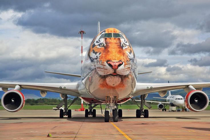 a tiger face painted on the side of an airplane at an air port run way