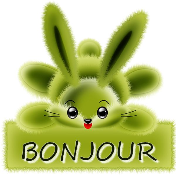 a green bunny with the word bonjou on it's chest and ears, peeking out from behind a sign that says bonjou